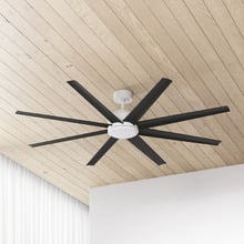 Titanic DC Ceiling Fan with LED